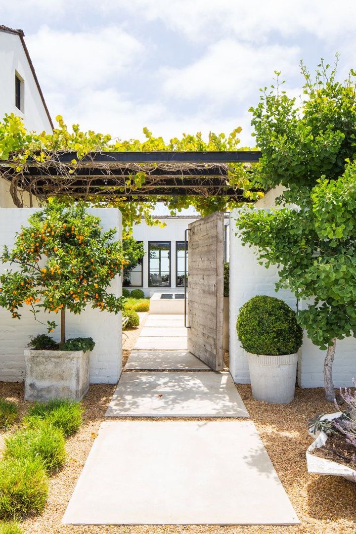 a white house with an orange tree in the front yard and some potted plants