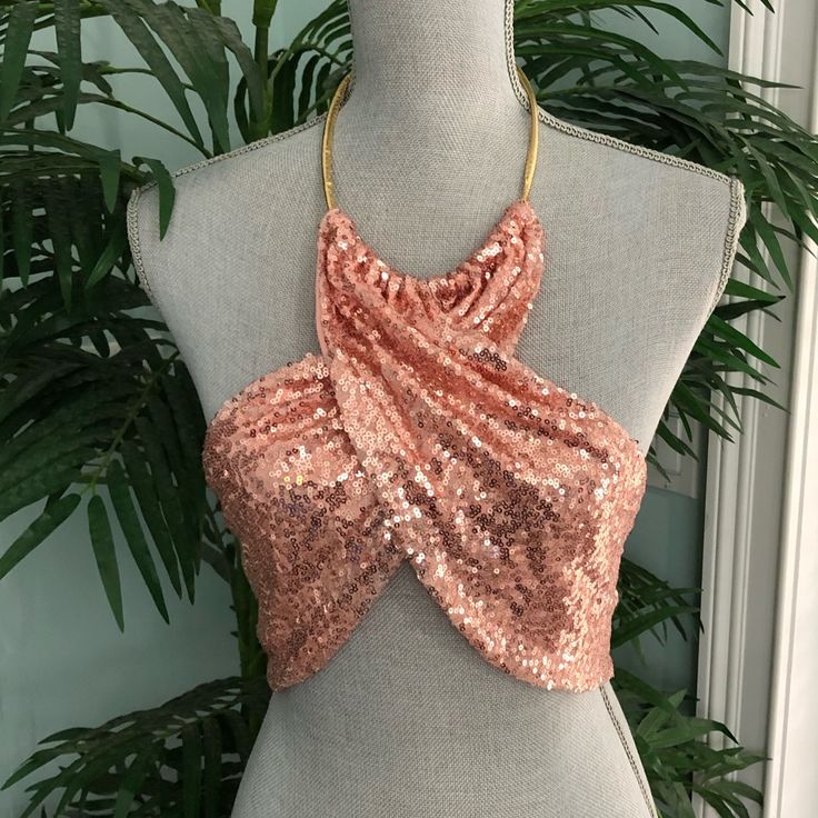 I Bought This On Posh But It Fit Different From The Pictures When I Put It On. It Was Too Big And The Gold Rope And Hook Around The Neck Is Lightweight. It May Be Better To Put A Gold Oval Choker/Necklace Through It. It Is Nwot. I Never Wore It. It Is Pink. Pink Backless Top For Night Out, Beach Sequin Fitted Crop Top, Beach Fitted Sequined Crop Top, Sequined Fitted Crop Top For Beach, Pink Triangle Halter Top For Party, Pink Backless Party Top, Fitted Pink Crop Top For The Beach, Pink Backless Crop Top For Night Out, Pink Fitted Crop Top With Sequins