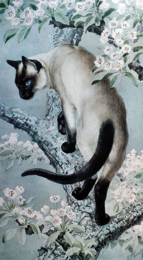 a siamese cat sitting on top of a tree branch with flowers in the background