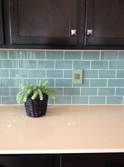 a potted plant sitting on top of a kitchen counter next to black cupboards