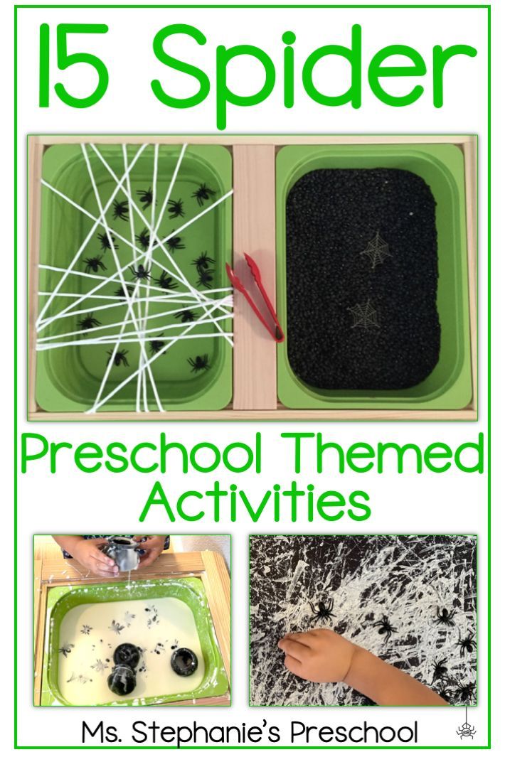 15 Spider Preschool Themed Activities Spider Theme Preschool, Spider Crafts Preschool, Spider Preschool, Spiders Preschool, Halloween Theme Preschool, Spider Activities, Insects Preschool, Spider Theme, Bugs Preschool