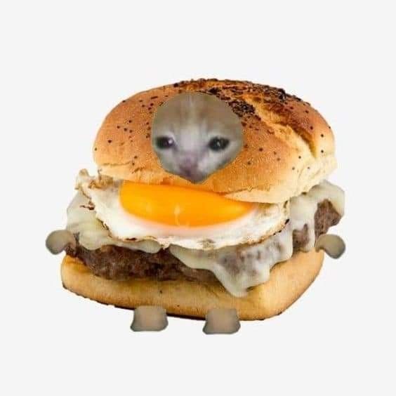 Aesthetic
Sandwich
Michi
Gato
Random
Fast food Cat Dressed Up, Therapy Cat, Silly Cats Pictures, Cat Items, Cat Icon, Cats Illustration, Cat Costumes, Happy Cat, Silly Cats