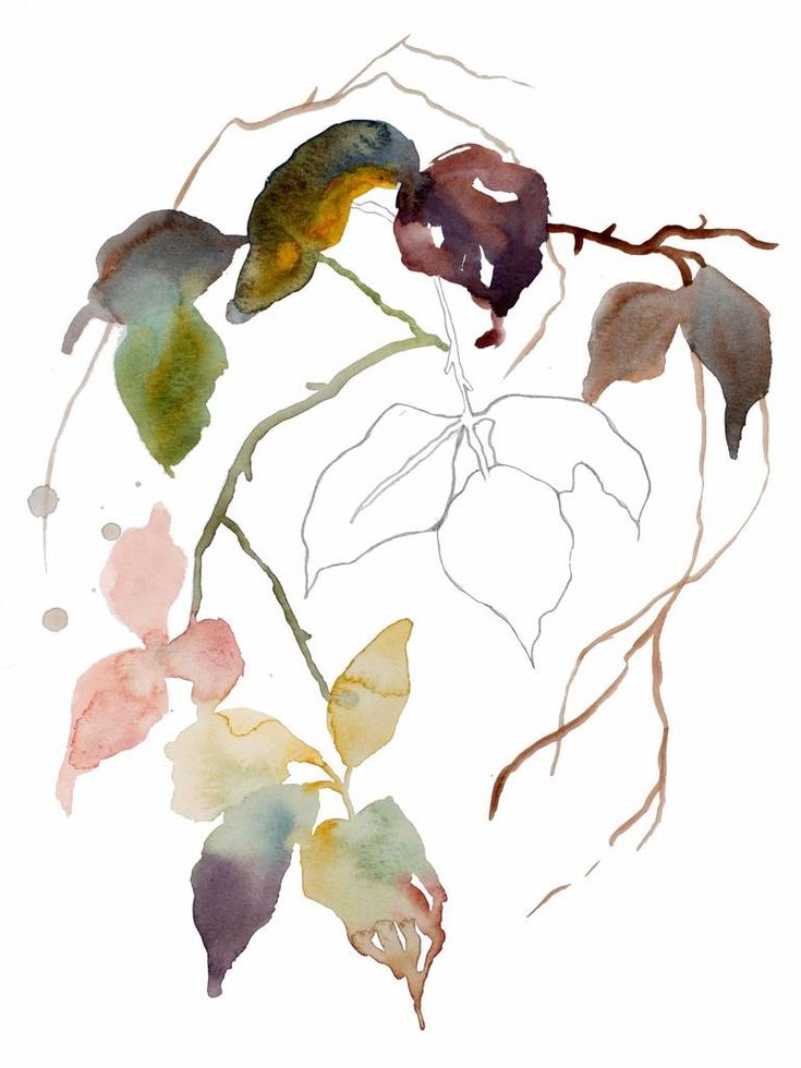 a watercolor painting of leaves on a white background