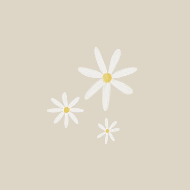 two white flowers on a beige background with one yellow flower in the center and another pink flower in the middle