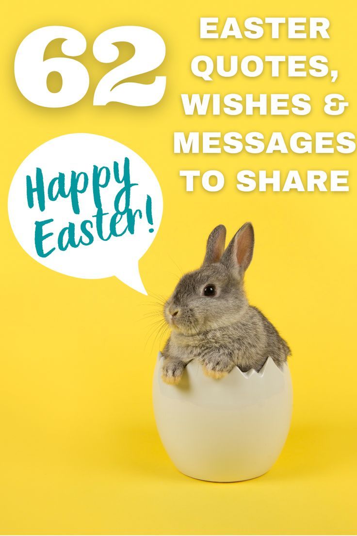 a rabbit sitting in an egg with the words happy easter to share on yellow background