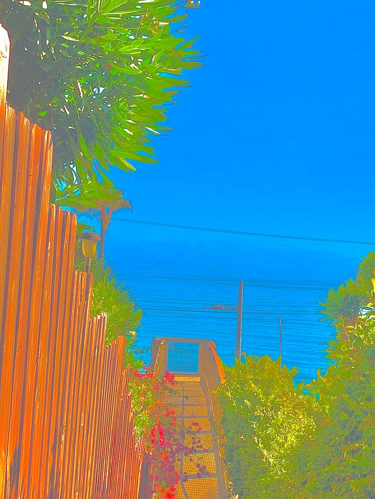 an orange fence and some trees on a sunny day with the ocean in the background