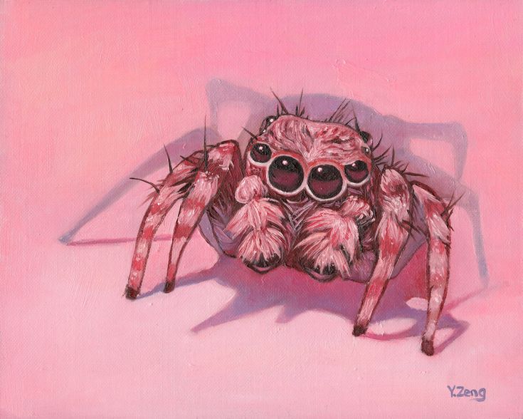 a painting of a spider with goggles on it's face and legs, in front of a pink background