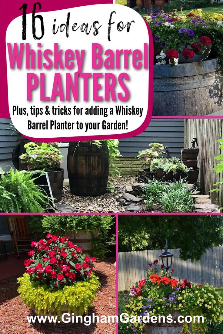 a collage of pictures showing different types of plants and flowers in the yard with text that reads 16 ideas for whiskey barrel planters plus tips & tricks for adding a