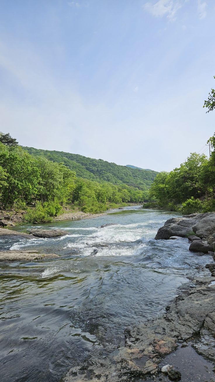 a river flowing through a lush green forest filled with lots of rocks and water under a blue sky