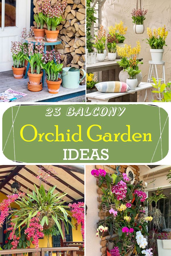 several different types of flowers and plants in pots on shelves with text overlay that reads 25 balcony orchid garden ideas