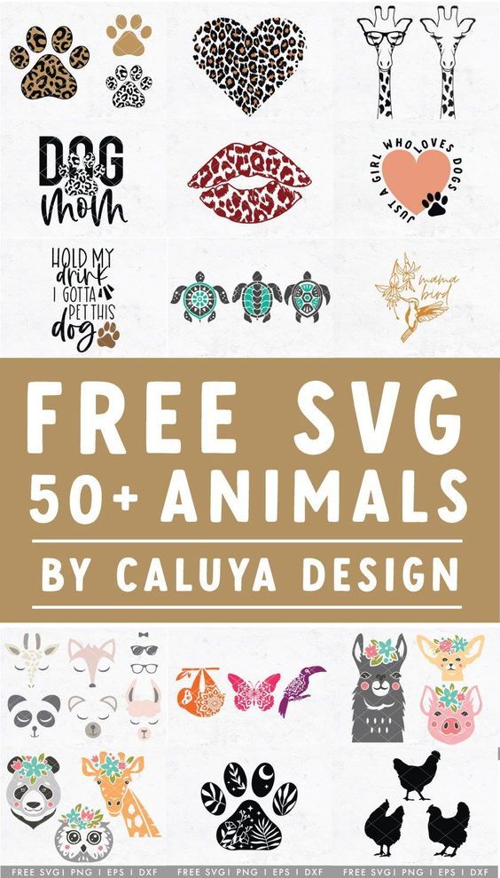 free svg 50 + animals by caluya design