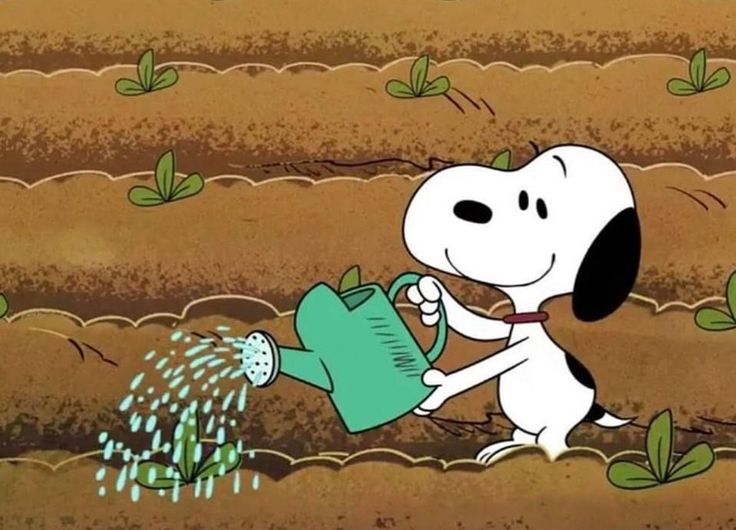 a cartoon dog watering the ground with a green watering can