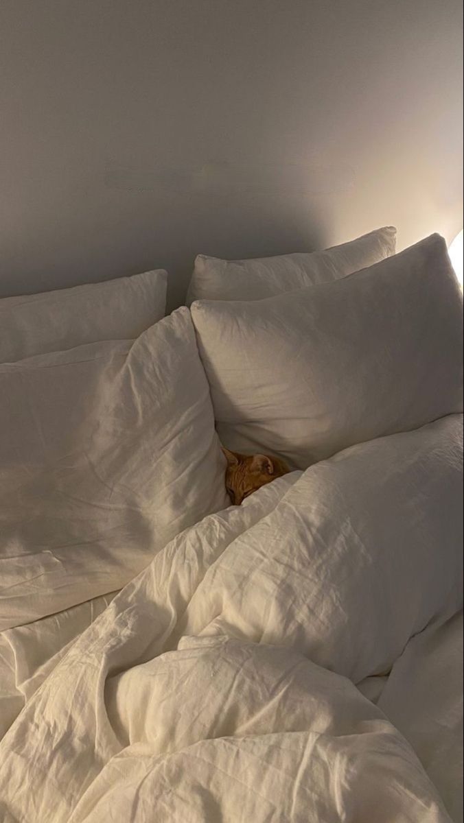 Cat in bed cute cat white aesthetic bed with cat laying in it White Sheets, Cat Sleeping, Cat Aesthetic, Feeling Blue, Orange Cat, Bedroom Inspo, Pretty Cats, My New Room, Something Beautiful