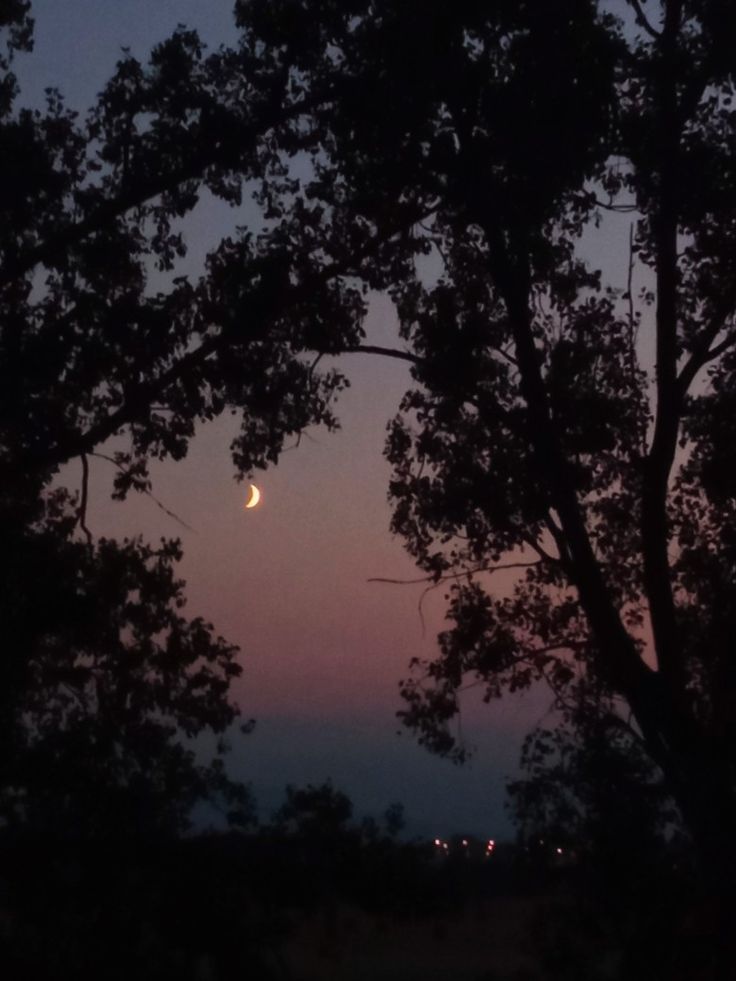 the moon is seen through some trees at dusk