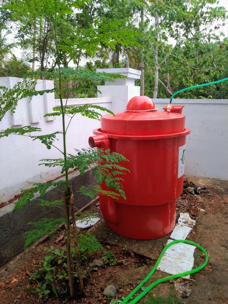 a red fire hydrant sitting in the middle of a yard next to a tree