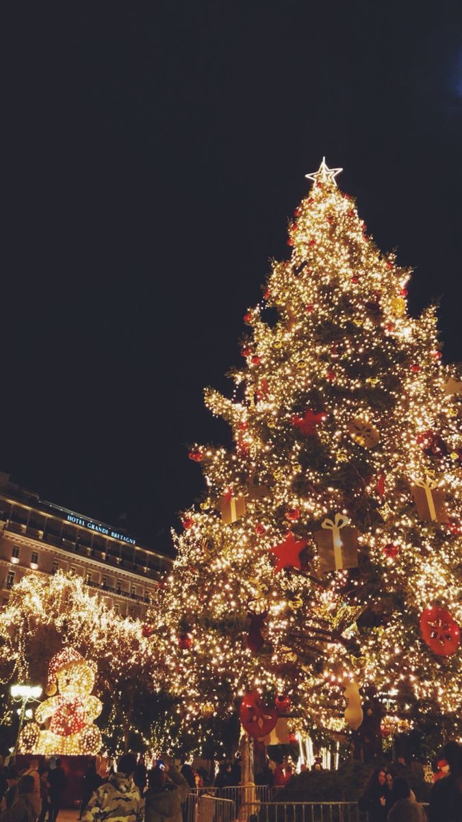 a large christmas tree is lit up at night