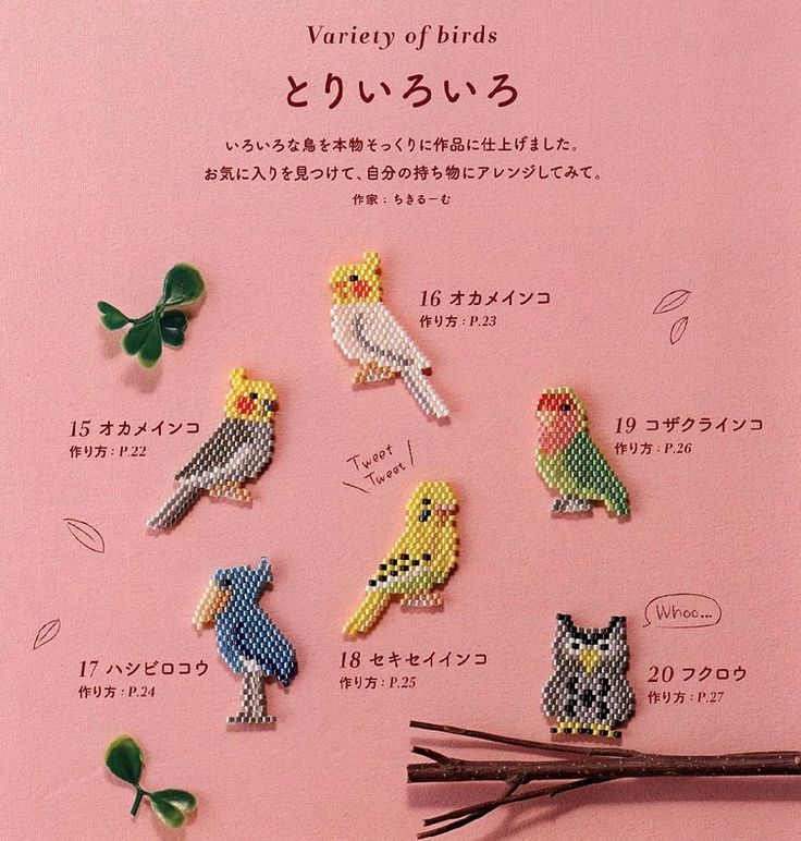 the brochure is decorated with small birds and flowers in different colors on pink paper