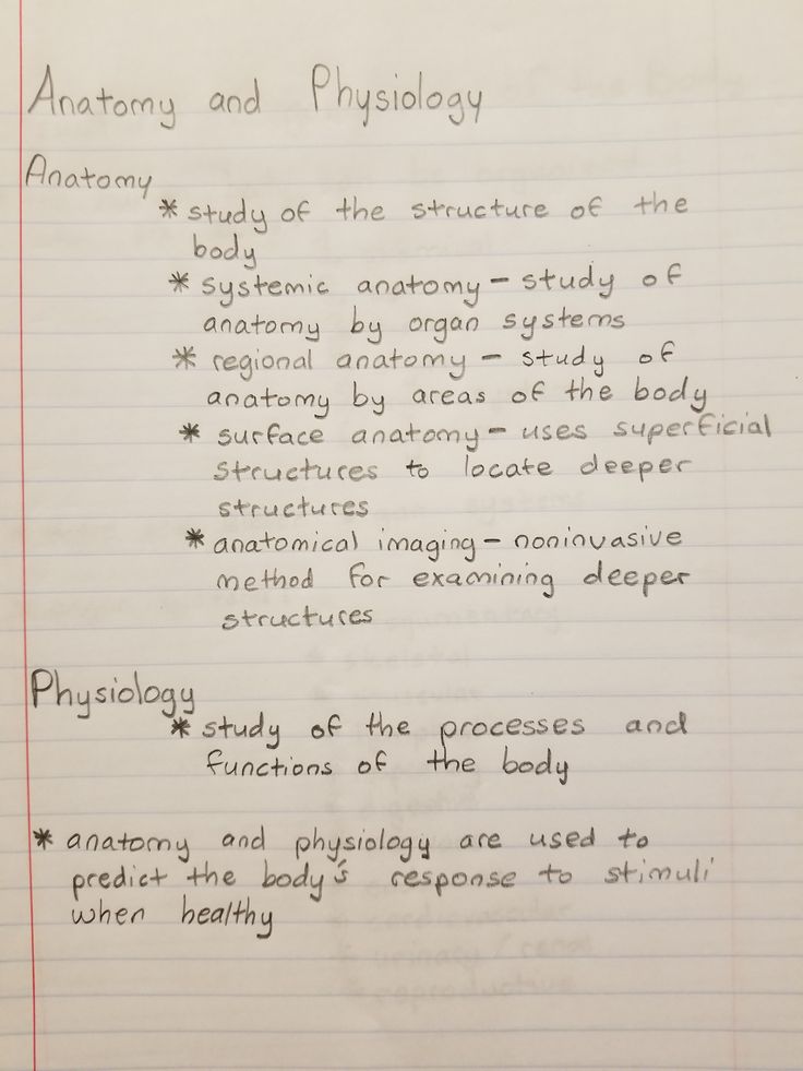 a piece of paper with writing on it that says anatomy and physolay