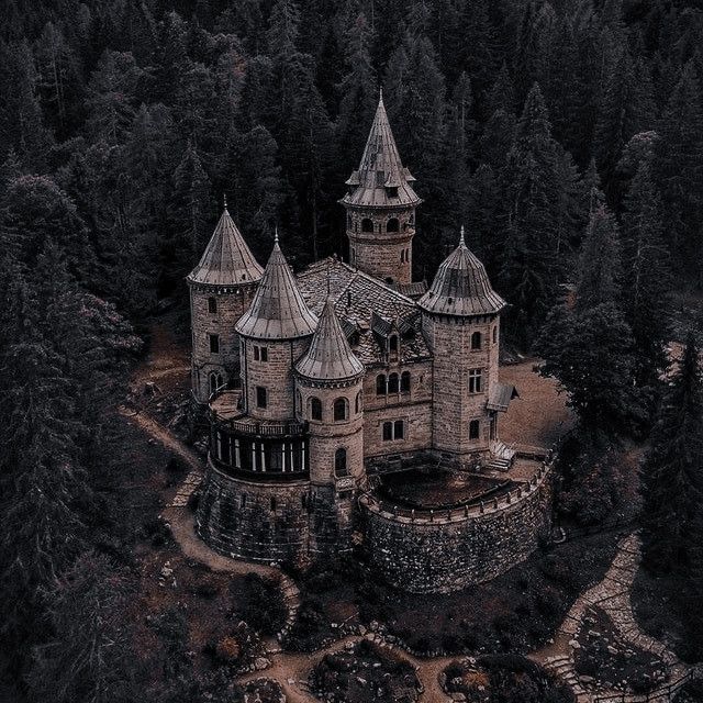 an aerial view of a castle surrounded by trees