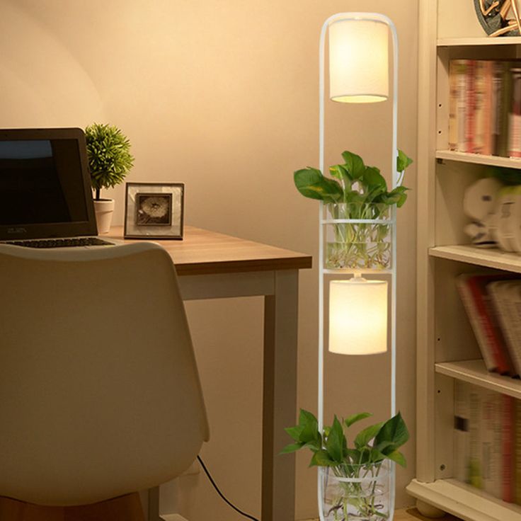 a room with a desk, bookshelf and plant in the corner next to a laptop