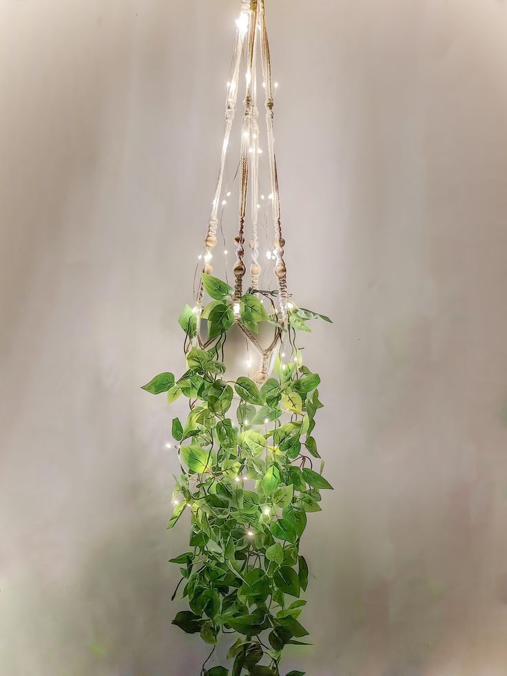 a green plant with lights hanging from it's sides and some leaves on the bottom