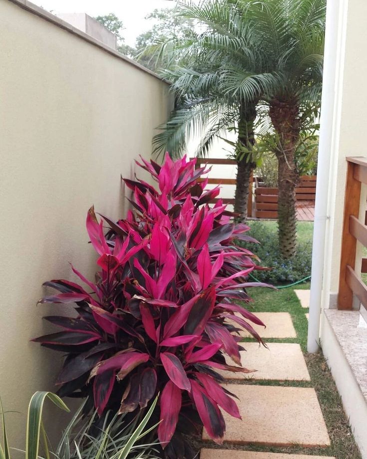 a purple plant sitting in the middle of a walkway