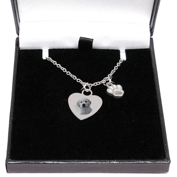 an open box with a dog's paw and heart charm