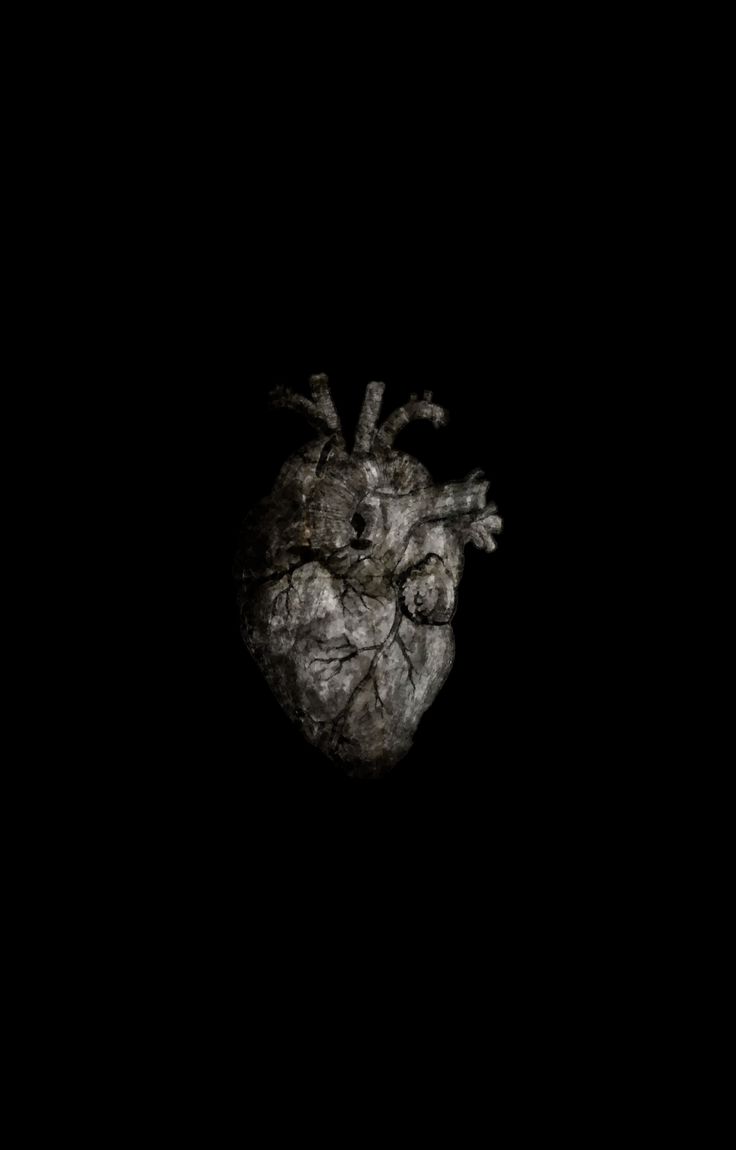 a heart shaped object in the dark with no leaves on it's side,