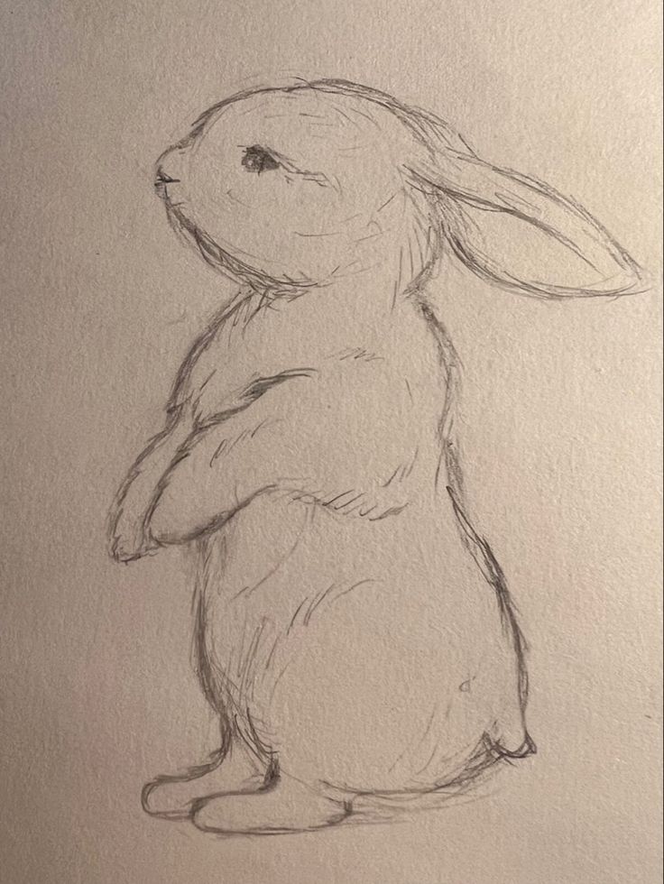 a drawing of a rabbit sitting on its hind legs