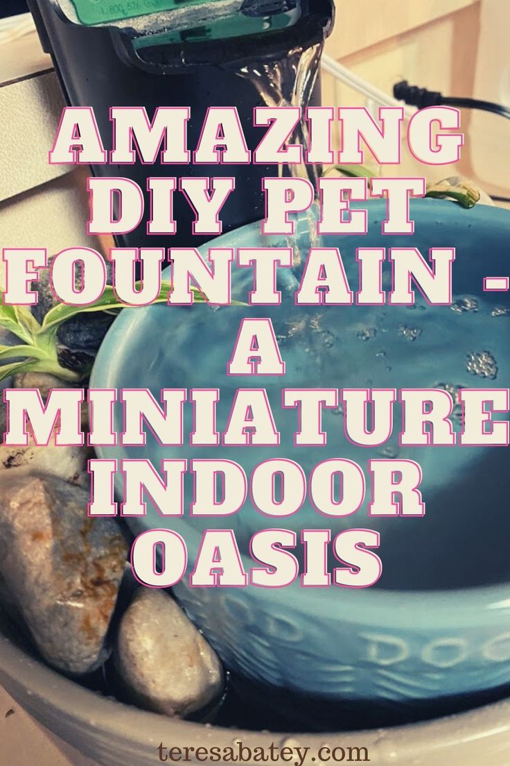 a blue bowl with rocks and plants in it that says amazing diy pet fountain - a miniature indoor oasis