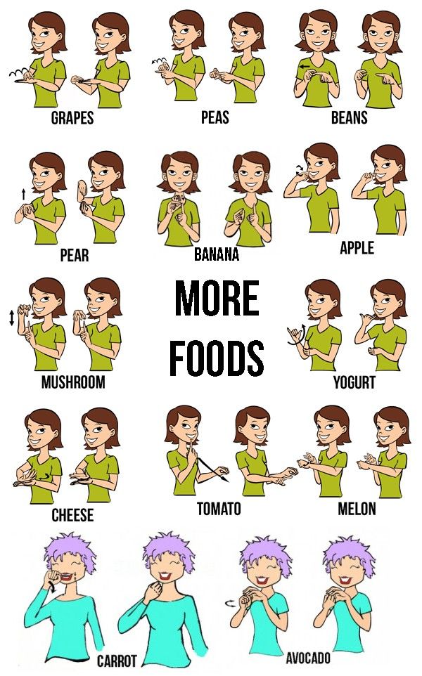 the different types of foods that people use in their body to learn how to eat them