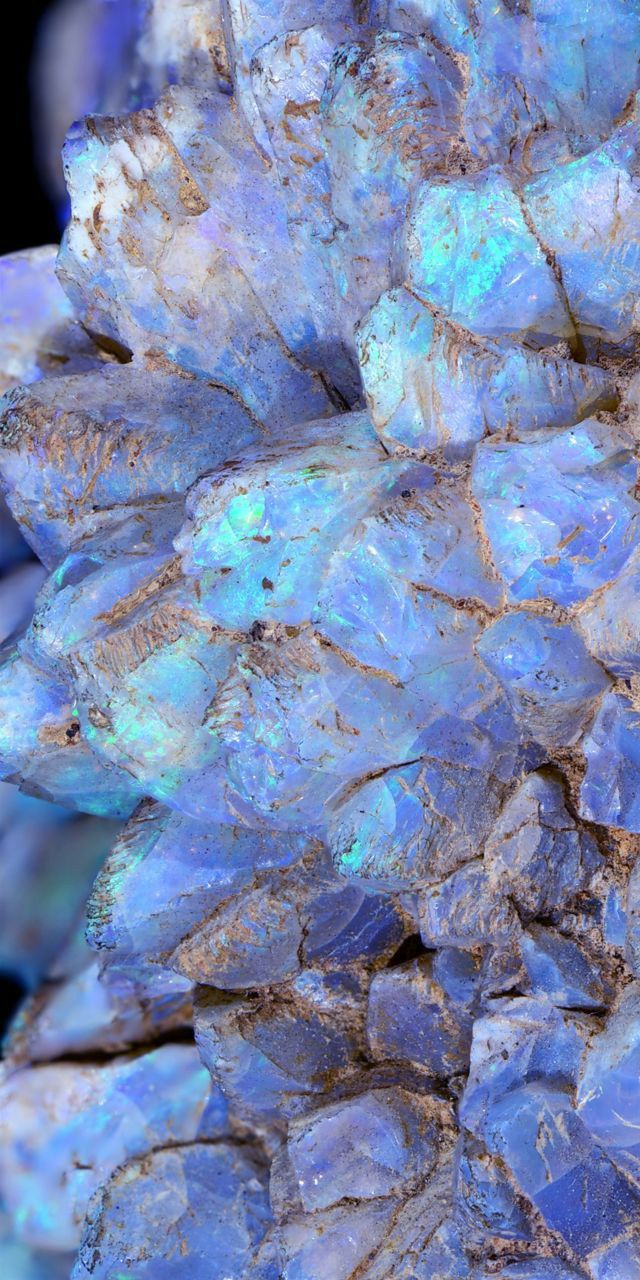 a cluster of blue opalite crystals