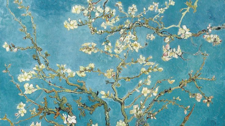 an almond blossoming tree against a blue background