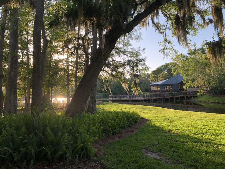 the sun shines through the trees and over the water in front of a house