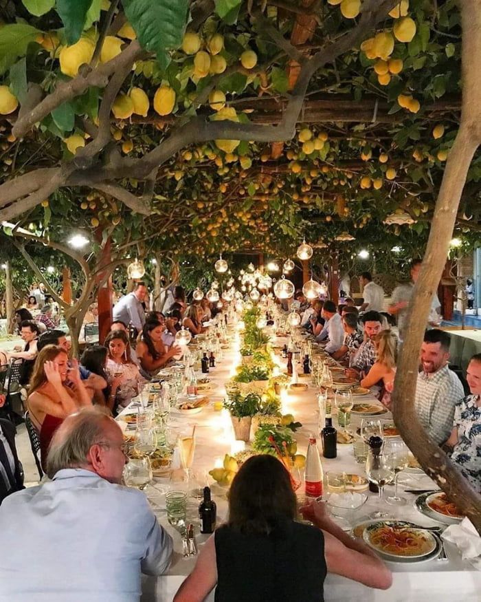 a group of people sitting around a table with lemons hanging from the trees over it