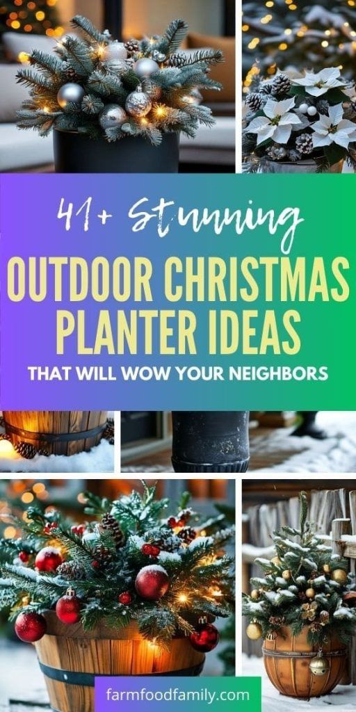 outdoor christmas planter ideas that will wow your neighbors