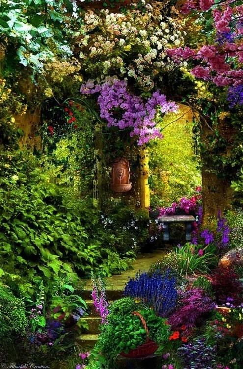 a garden filled with lots of flowers and plants