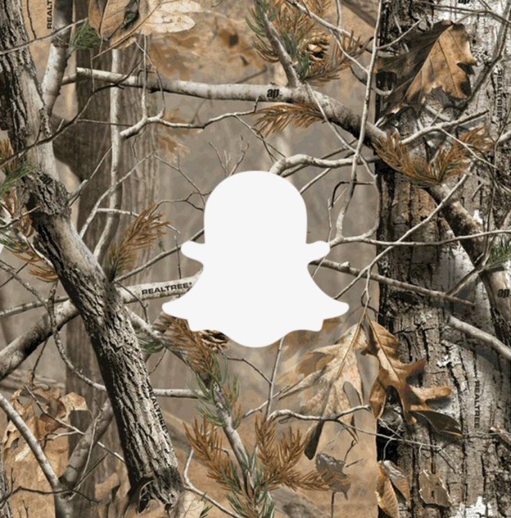 an image of a camo background with a white snap for the snap phone logo