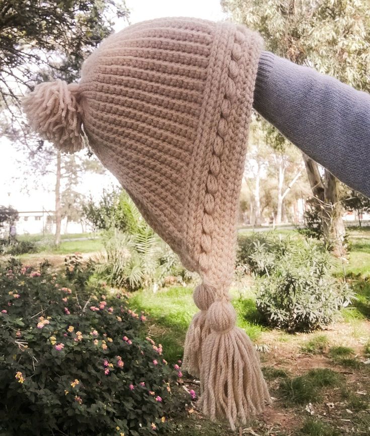 a person wearing a knitted hat with tassels hanging from it's side