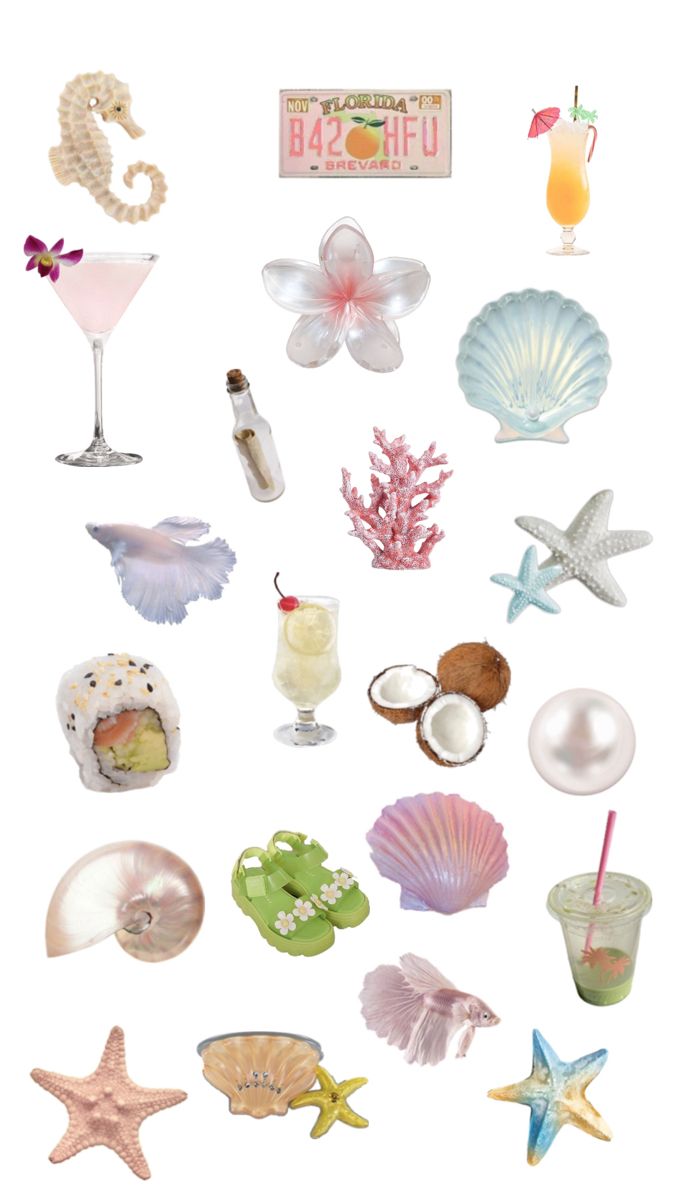 an assortment of sea shells and cocktails on a white background