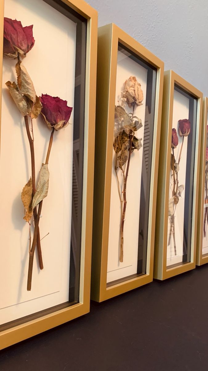 three framed pictures with dried flowers in them