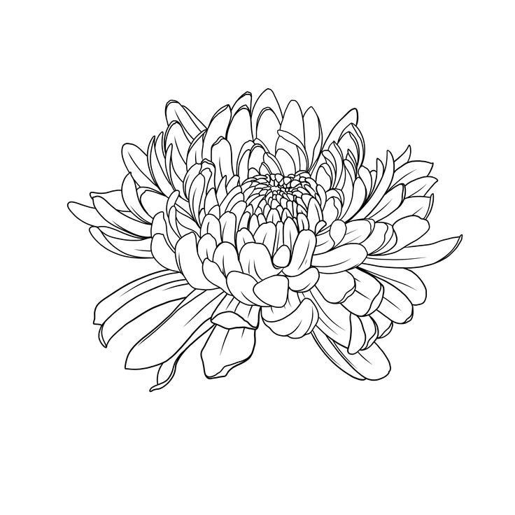 a black and white drawing of a flower