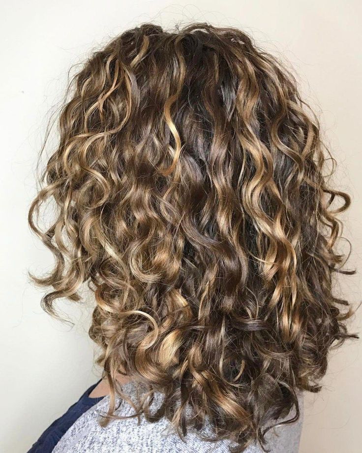 Curly Brown Hair With Dark Blonde Highlights #haircutsforlongcurly Blonde Highlights Curly Hair, Dark Blonde Highlights, Highlights Curly Hair, Curly Hair Photos, Haircuts For Curly Hair, Curly Bob Hairstyles, Penteado Cabelo Curto, Mid Length Hair, Curly Hair Tips