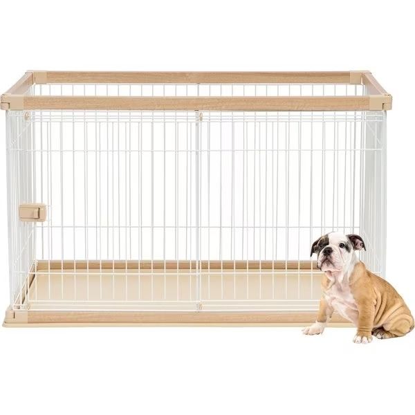 a small dog sitting in front of a cage