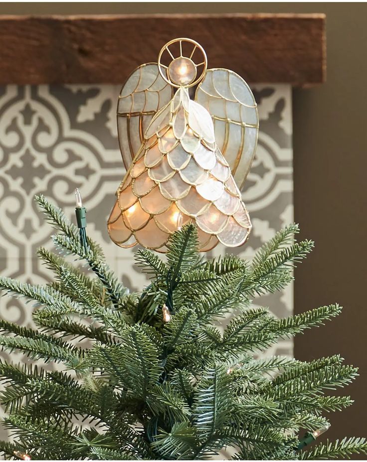 a christmas tree with lights hanging from it's branches