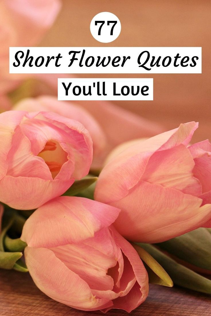 Short Flower Quotes Happy Flower Quotes, Short Poems About Flowers, Flower Quotes Short, Inspirational Flower Quotes, Short Flower Quotes, Gardening Quotes Inspirational, Floral Inspirational Quotes, Flower Quotes Love, Flower Quotes Inspirational