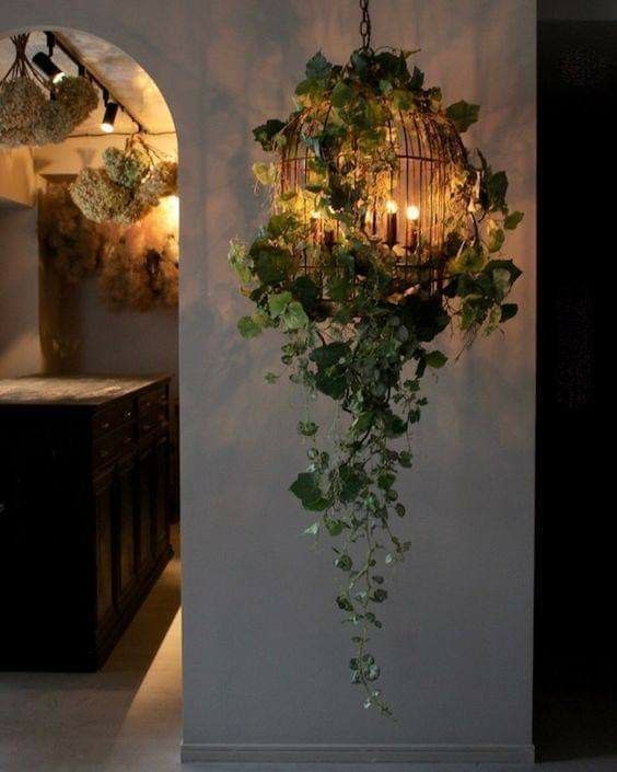 a chandelier hanging from the side of a wall with ivy growing on it