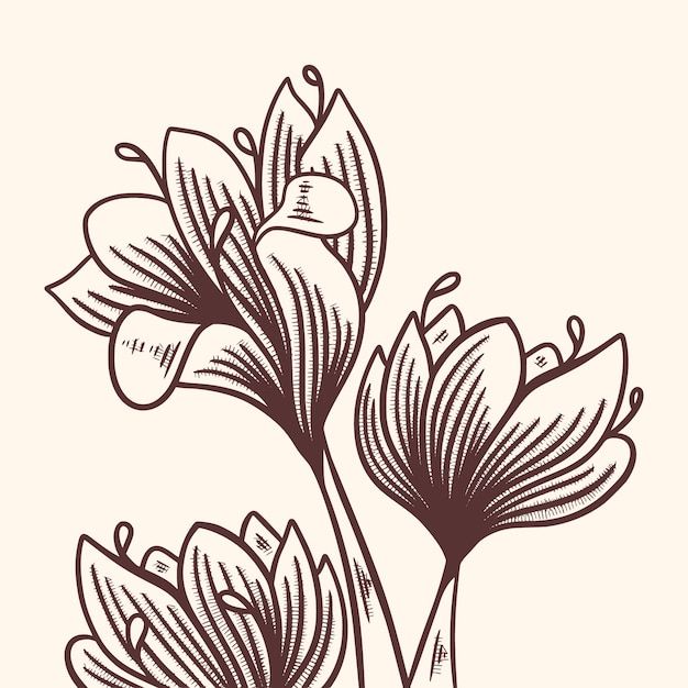 three flowers are shown in black and white on a beige background, one is drawn by hand