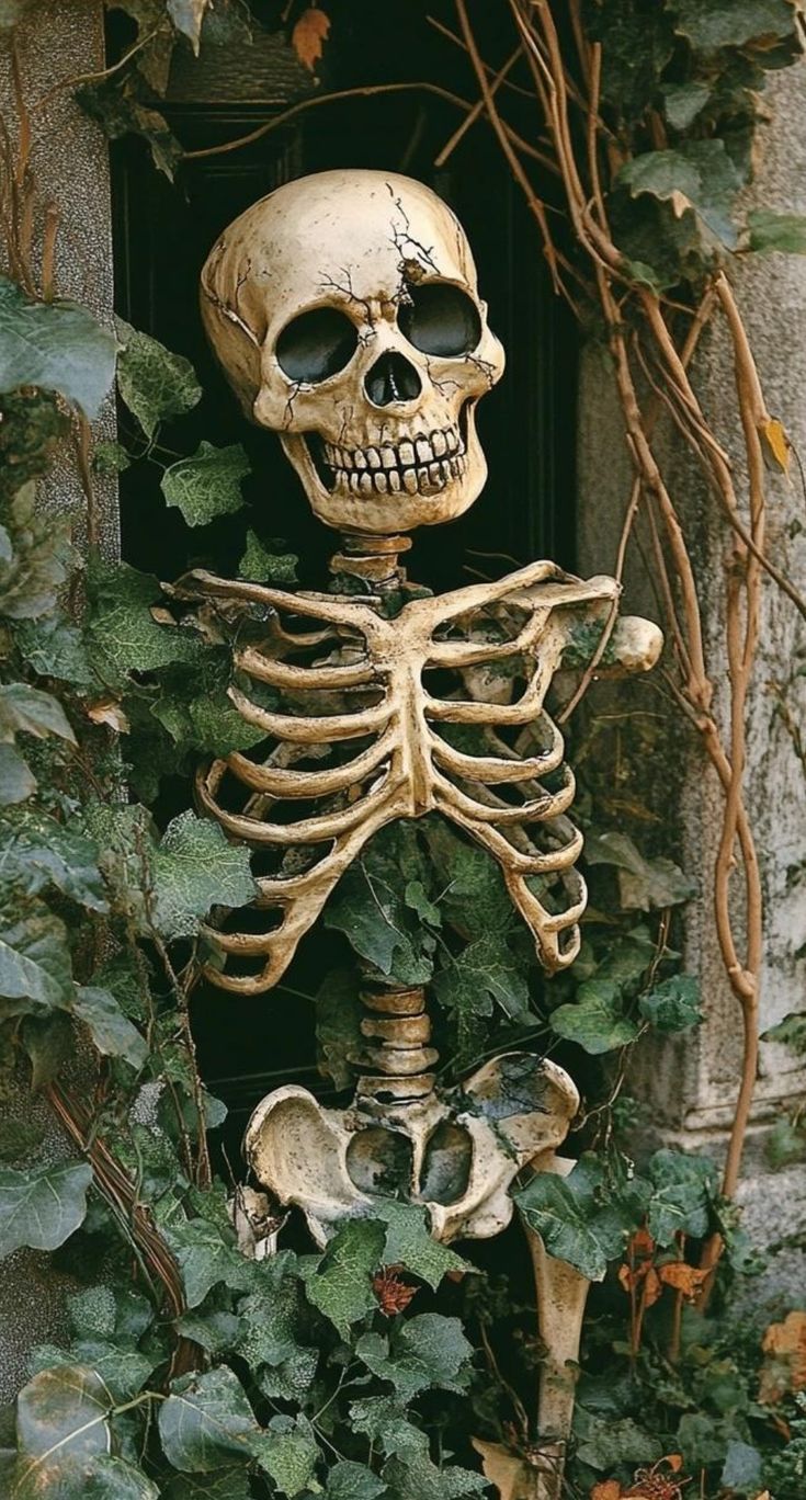 there is a skeleton in the window with vines around it and ivy on the wall