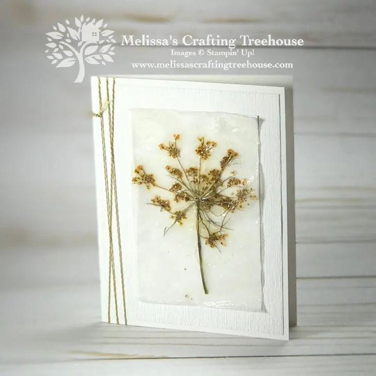 a greeting card with dried flowers on it